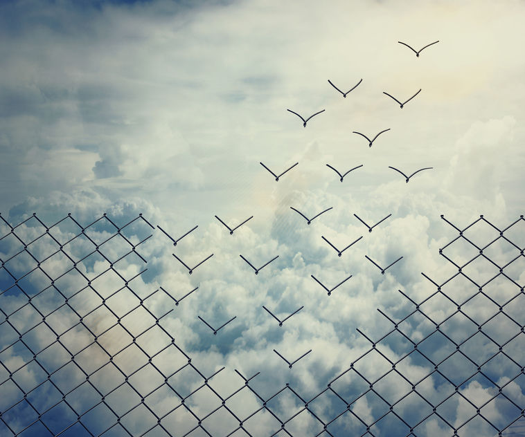 fence flying away